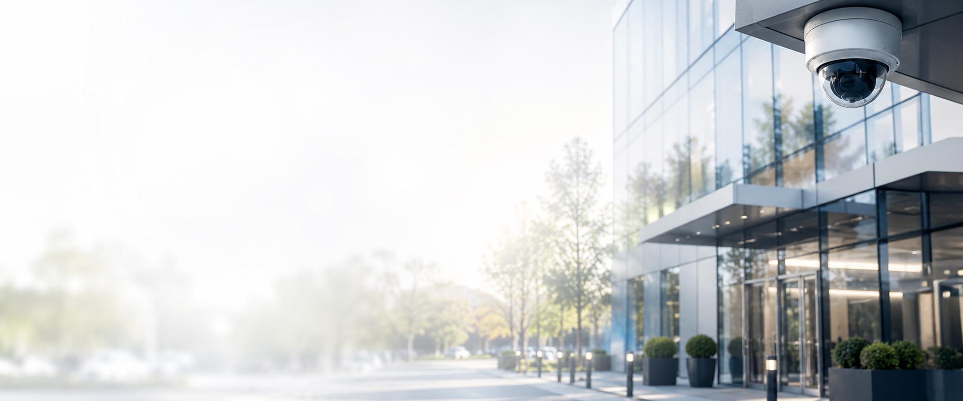 Reviews banner